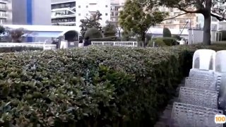 罗曼史下载达人认证